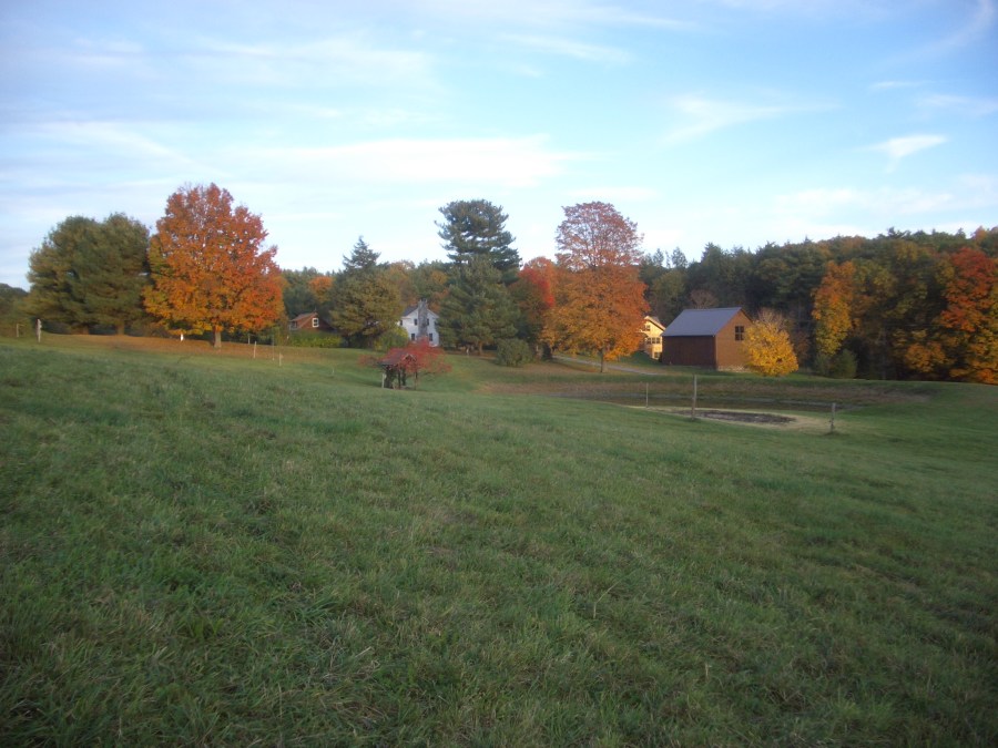 view from the pasture